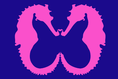 test de personalidad