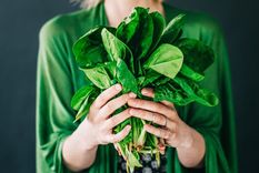 Las espinacas son pura fibra. Foto: Archivo