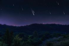 Conocé todo lo que necesitas para verlas Foto: Shutterstock