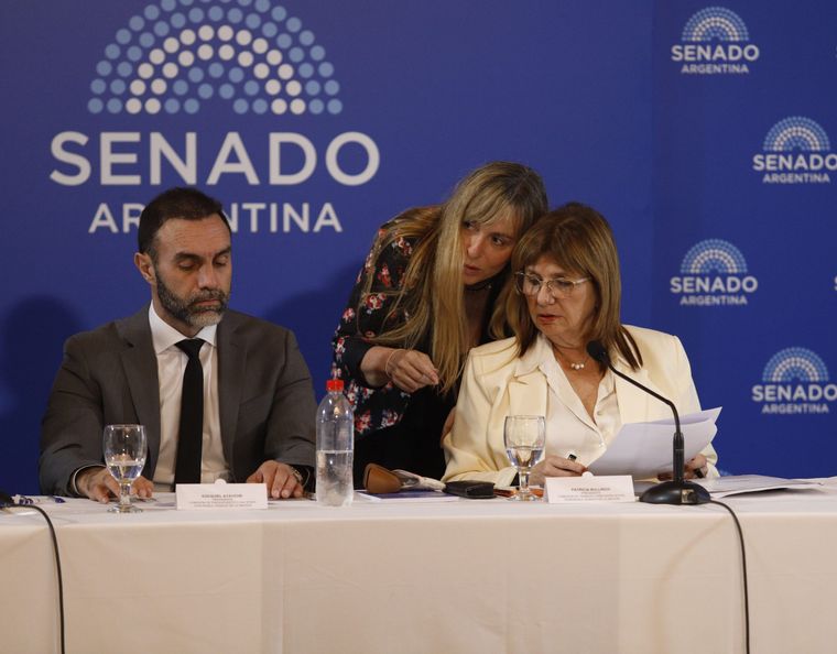 Patricia Bullrich y Juliana Di Tullio en el debate por la reforma laboral en el Senado.