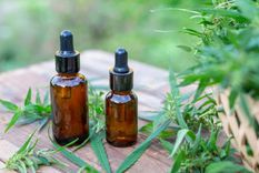 la exigencia que le hizo mendoza a nacion por la reglamentacion de la ley de cannabis medicinal