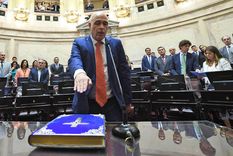 Abdala habló en la previa del debate de la ley Bases en el Senado y su posible voto como presidente provisional. Foto: NA