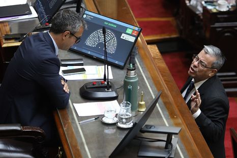El presidente de la Cámara de Diputados, Martín Menem, y el jefe del bloque de Unión por la Patria, Germán Martínez.