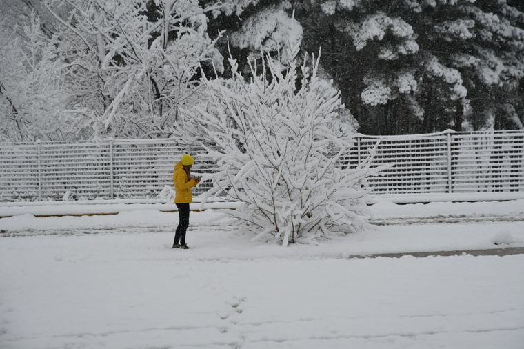 La temperatura máxima el domingo será de 8º Foto: ALF PONCE MERCADO / MDZ
