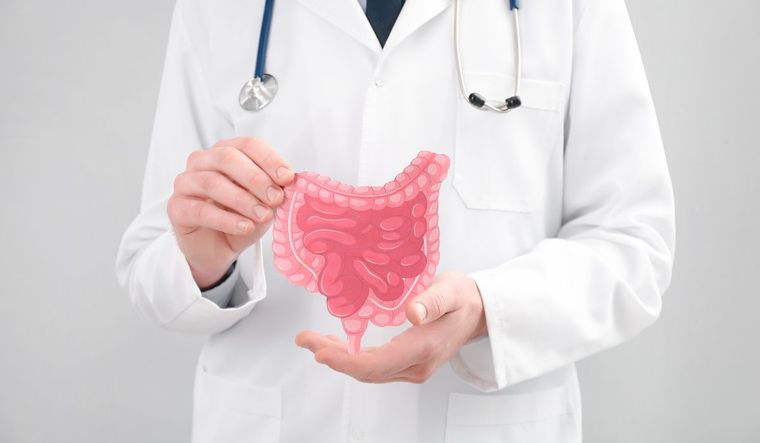 Este viernes 27 de junio se conmemoró el Día Mundial de la Microbiota Intestinal.