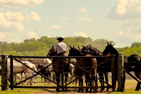 Carlos Begueríe es un pueblo bonaerense donde la huella del tren y las construcciones antiguas siguen definiendo la escena. Carlos Begueríe es un pueblo bonaerense donde la huella del tren y las construcciones antiguas siguen definiendo la escena.