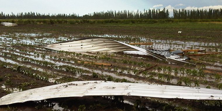 Foto: Gentileza Diego Musa