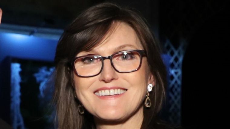 Cathie Wood invierte en las empresas que creen que tienen potencial para cambiar la economía. Foto: GETTY IMAGES