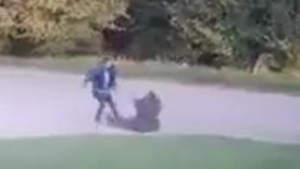 El episodio ocurrió sobre la calle Aristizabal, en la localidad de Coronel Vidal. Foto: Captura de video