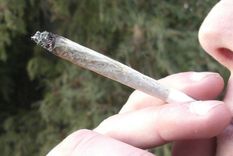 los dealers operan dentro de las escuelas