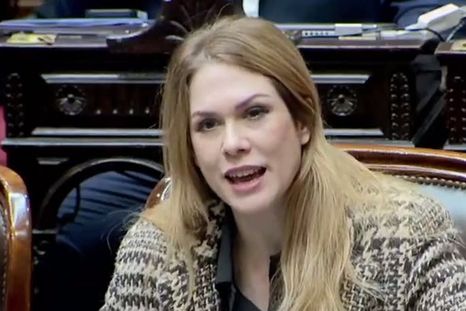 La diputada Lilia Lemoine dio de qué hablar con su desafortunada frase Foto: Captura de video