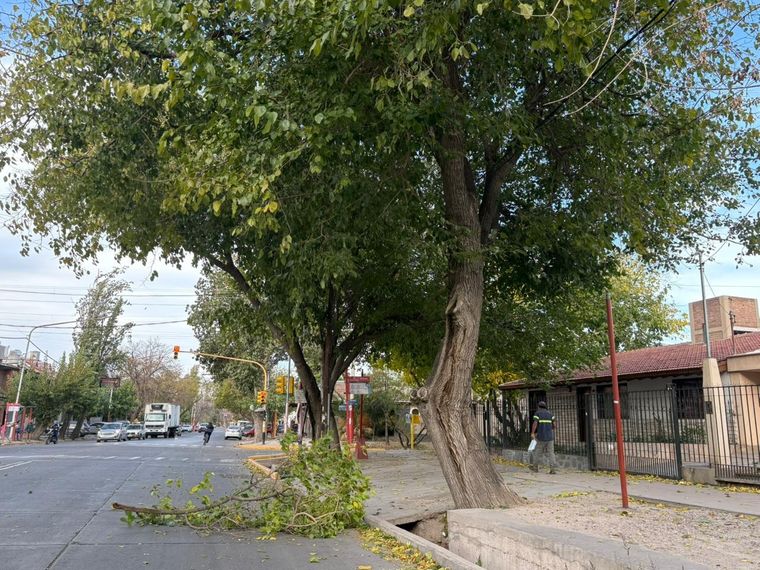 Viento Zonda en Mendoza.