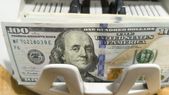 La cotización del dólar alcanzó un nuevo récord. La cotización del dólar alcanzó un nuevo récord.