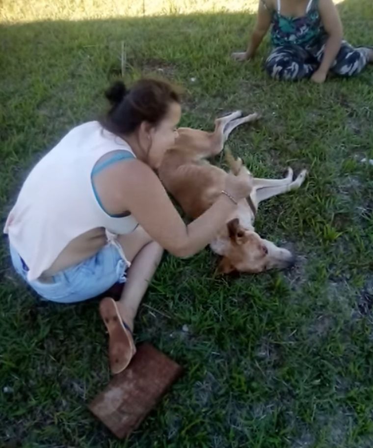 Problemas Entre risas, la chica clava el palo sobre la cabeza del animal.