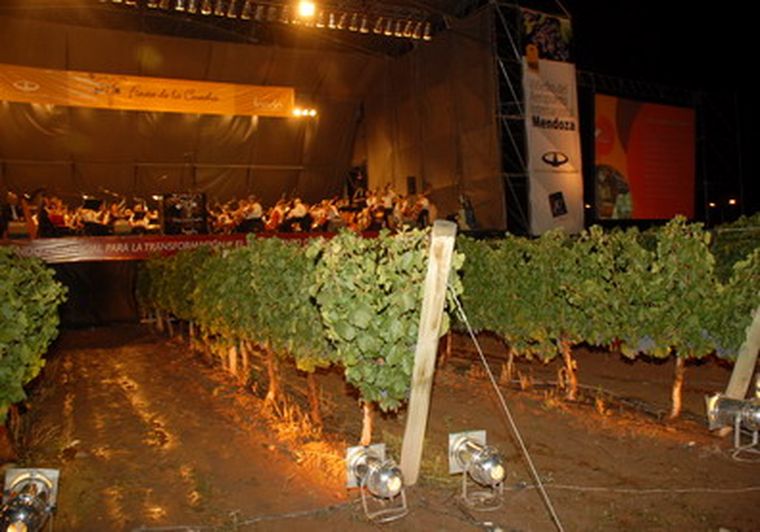 Los viñedos de Aeropuerto se vestirán de fiesta. Foto: Carlos Villazón / MDZ