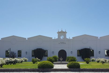 En la nota, qué bodega del norte argentino se destaca con esta particular cepa. En la nota, qué bodega del norte argentino se destaca con esta particular cepa.