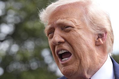 MDZol | Donald Trump  presidente de los Estados Unidos 14