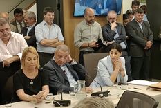 Gabriel Bornoroni, jefe de bloque de La Libertad Avanza, aseguró que el próximo jueves se designará al titular de la comisión de Juicio Político Foto: Noticias Argentinas