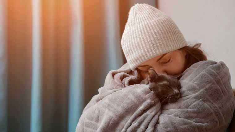 Protege a tu mascota de las bajas temperaturas. Foto: SHUTTERSTOCK