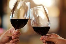 El mismo vino, imagen renovada Foto: archivo MDZ