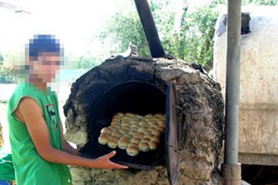 MDZol | Los jovenes trabajan en distintas tareas rurales Foto: web