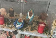 El pesebre fue creado por una pastelería erótica y generó indignación entre los católicos