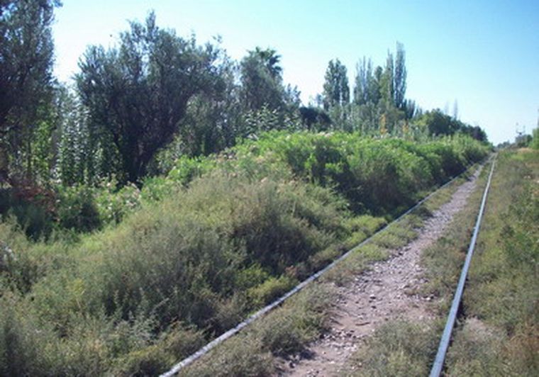 Los accidentes ferroviales ocurren a diario. Foto: Gentileza