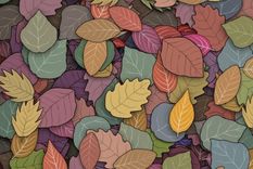 Acertijo visual, reto visual, sapo