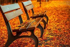 Se acerca el equinoccio de otoño y esto es lo que tenés que saber Foto: Shutterstock