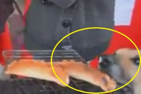 Perro de Andacollo se vuelve famoso al chorearse una empanada