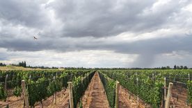 El viernes habrá un leve ascenso térmico y cielo parcialmente nublado en Mendoza. El viernes habrá un leve ascenso térmico y cielo parcialmente nublado en Mendoza.