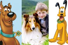 MASCOTAS SCOOBY DOO, LASSIE Y PLUTO SON ALGUNOS DE LOS PERROS MÁS FAMOSOS DE LA HISTORIA DE LA TELEVISIÓN Foto: EL HERALDO DE MÉXICO