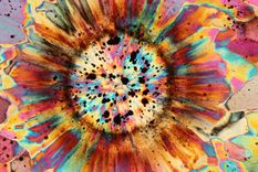 ¿me creerias si te digo que esto es una piedra?