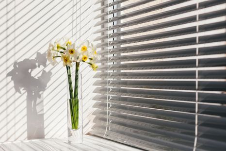 Así puedes limpiar la persiana de la casa Foto: Pixabay Así puedes limpiar la persiana de la casa Foto: Pixabay