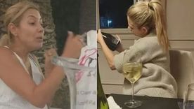 El abogado de Alberto Fernández aportó imágenes de Fabiola Yáñez tomando: consideran que eso afectaba a su estado emocional Foto: Captura de video