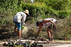 Los humanos han progresando explotando los recursos naturales a destajo. Foto: Efe. Los humanos han progresando explotando los recursos naturales a destajo. Foto: Efe.