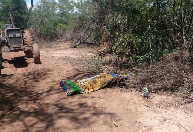 Las imágenes del hecho Foto: charatachaco.net