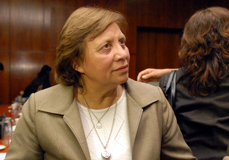 Iris Lima tuvo que pedir disculpas a la comisión por la vehemencia de una de sus funcionarias. Foto: Nacho Gaffuri / MDZ