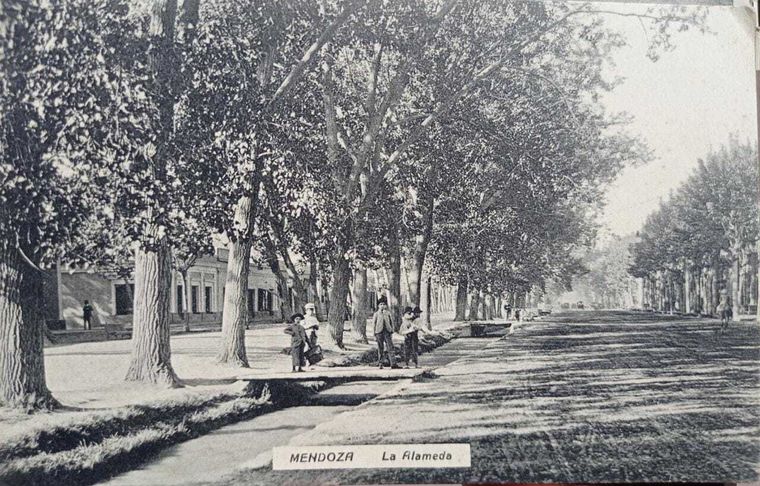 Se dice que la costumbre de pasear por La Alameda la iniciaron el mismo San Martín y su esposa, Remedios Escalada Foto: Mendoza Antigua