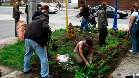 El movimiento de jardinería de guerrilla comenzó en 1973 en Nueva York, cuando Liz Christy fundó lo que se conoce como Las Guerrillas Verdes, con la transformación de terrenos baldíos en jardines comunitarios, lo que desencadenó un movimiento global. Foto: earthed.co