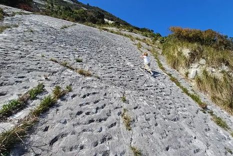 El descubrimiento lo hizo un grupo de escaladores. El descubrimiento lo hizo un grupo de escaladores.
