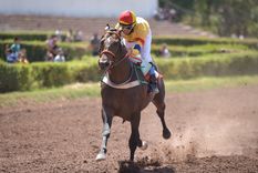 King Ruler defenderá nuestro voto en la prueba principal de la jornada. Foto: José Maluf