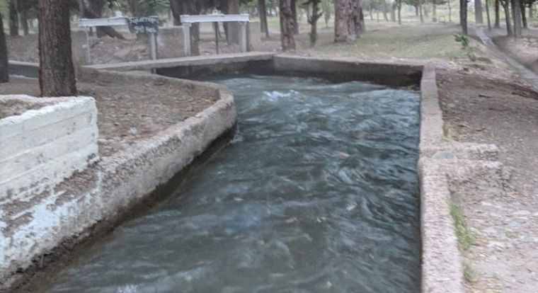 La mujer fue arrastrada por el canal y murió ahogada pese a las maniobras de reanimación