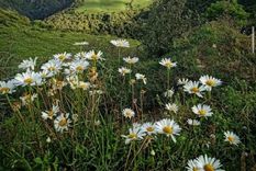 Este paraíso se encuentra en el Norte de Argentina Foto: IG @lasjuntascatamarca