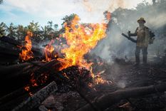 Los incendios forestales dejan desolación en todo el mundo Foto: EFE