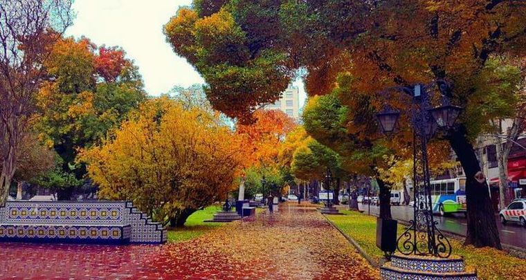 El otoño, una de las estaciones má lindas para disfrutar de Mendoza. El otoño, una de las estaciones má lindas para disfrutar de Mendoza.