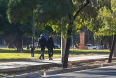 Se esperan heladas para este sábado. Foto: Santiago Tagua/MDZ
