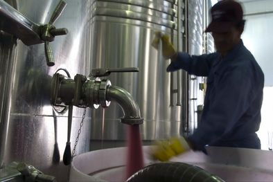 MDZol | Vino a granel.