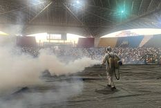 La fumigación es clave a la hora de evitar la proliferación de plagas.