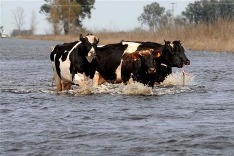 Las inundaciones tienen un fuerte impacto en la región. Las inundaciones tienen un fuerte impacto en la región.